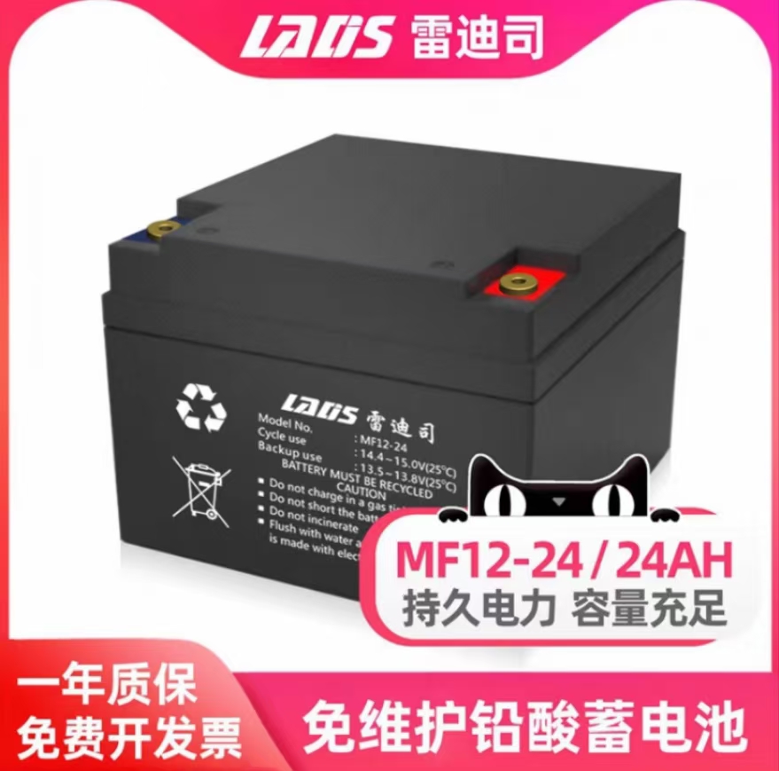 雷迪司蓄电池12V24AH