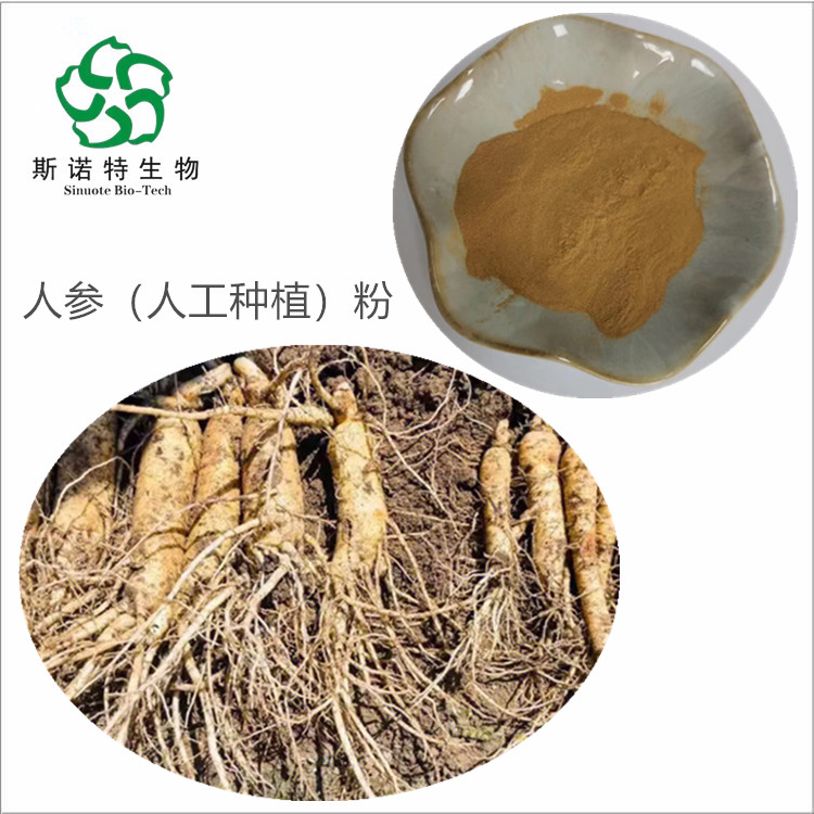 黄芪粉 人参粉 含人参皂苷 咨询提供小样 工厂发货