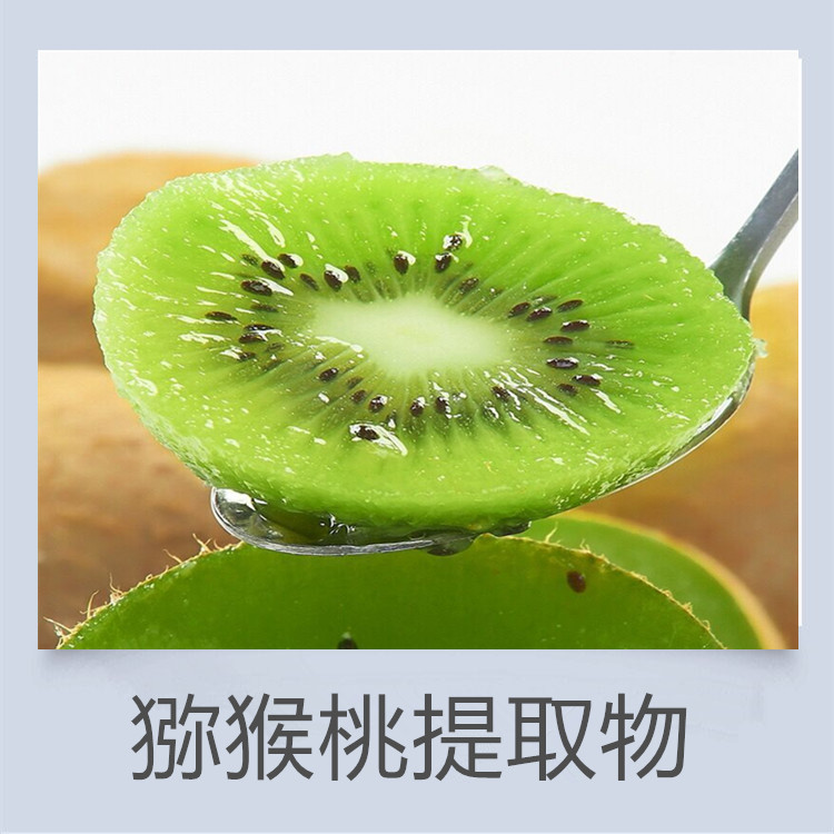 苹果多酚 柑橘多酚 雪梨粉 猕猴桃粉  桑椹粉 各种果粉