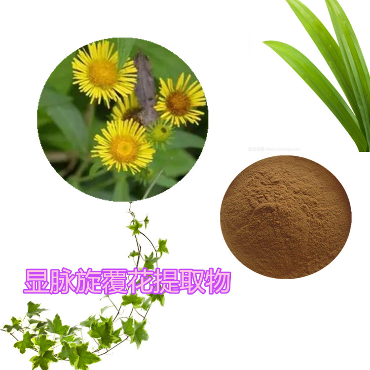 小黑药提取物 10:1 水提 小黑药粉 小黑药浸膏粉