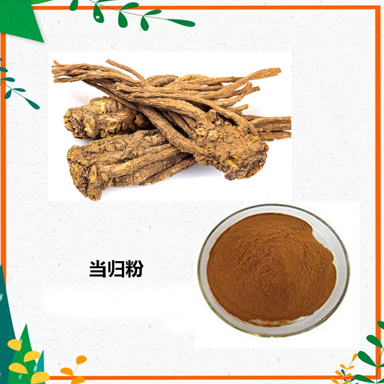 当归提取物 10:1 水提 当归多糖 30% 50% 当归粉