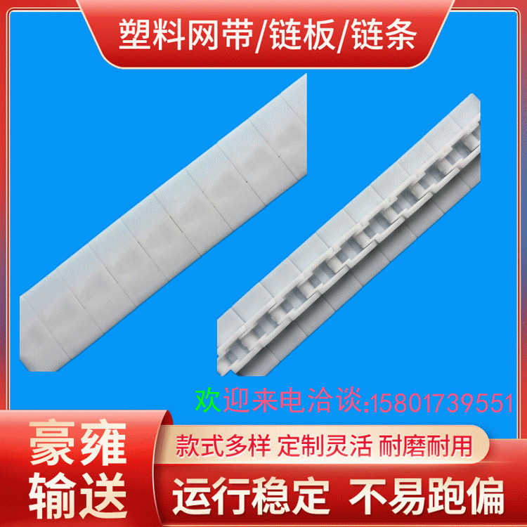 2040p塑料链条 W50输送链 P25.4传动链 POM板链