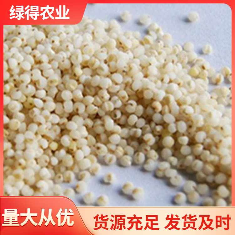 白小米厂家批发价格