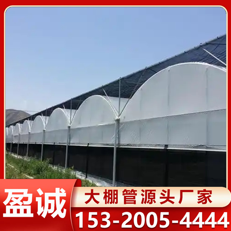 薄膜连栋大棚 大棚材料加工 长度宽度可定制 多年生产经验