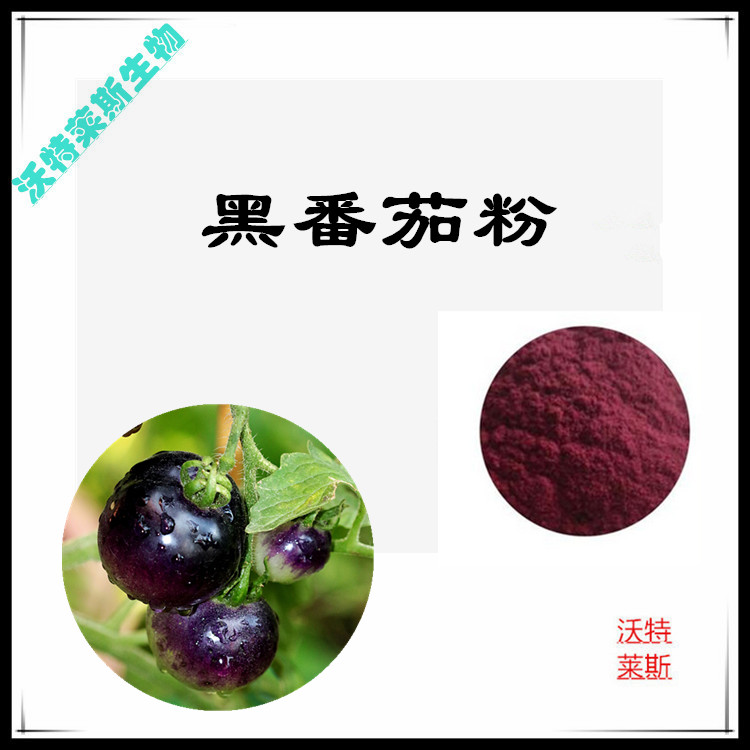 黑番茄粉 98% 黑番茄水溶粉 黑番茄浓缩粉 黑番茄膳食纤维