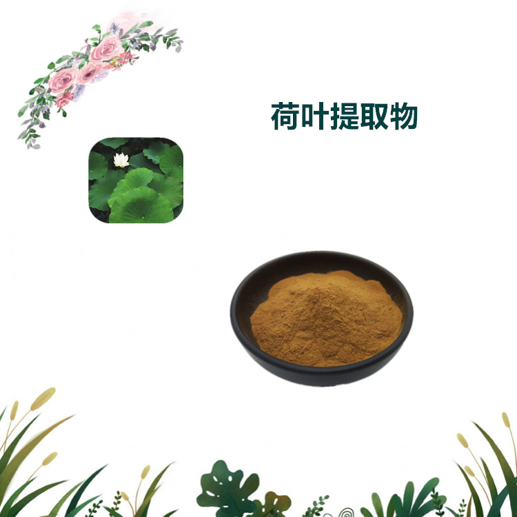 沃特莱斯生物 荷叶提取物 萃取粉 水溶性粉末 1公斤起订 可寄样