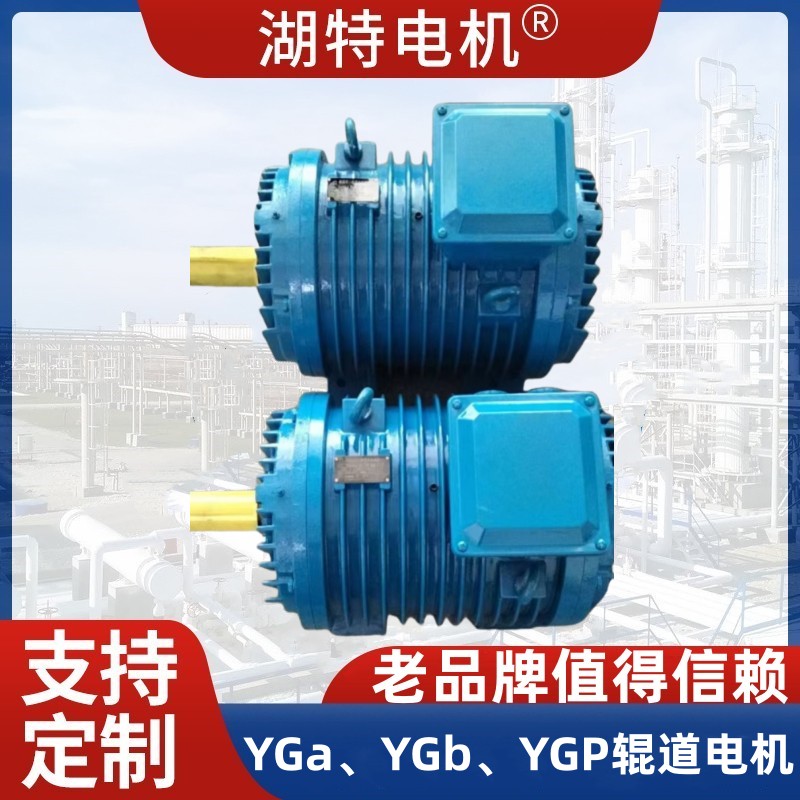 JG2、YGa、YGb辊道电机厂家