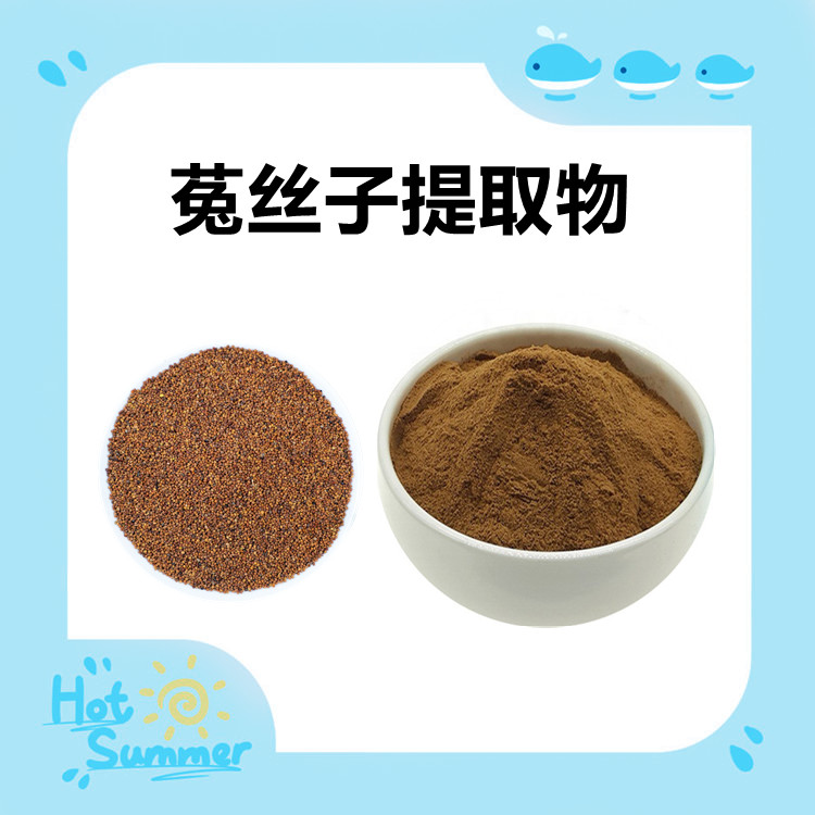 菟丝子提取物  纸板桶包装 易保存 粉末疏松 国内包邮 可发小样