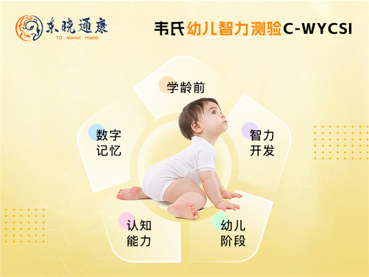 TD韦氏幼儿智力测验C-WYCSI 智力评定评估