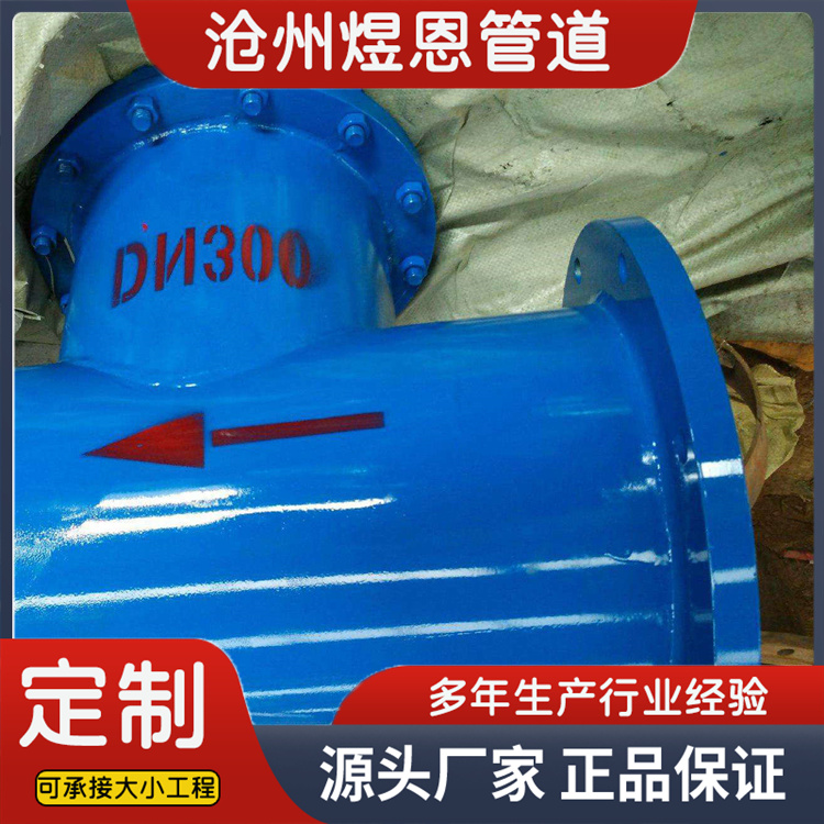 沧州煜恩管道 T型过滤器  来电咨询