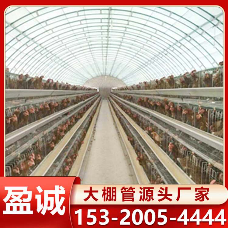 大跨度彩钢养殖棚搭建 牛棚 蔬菜大棚 单板/复合板材可定制