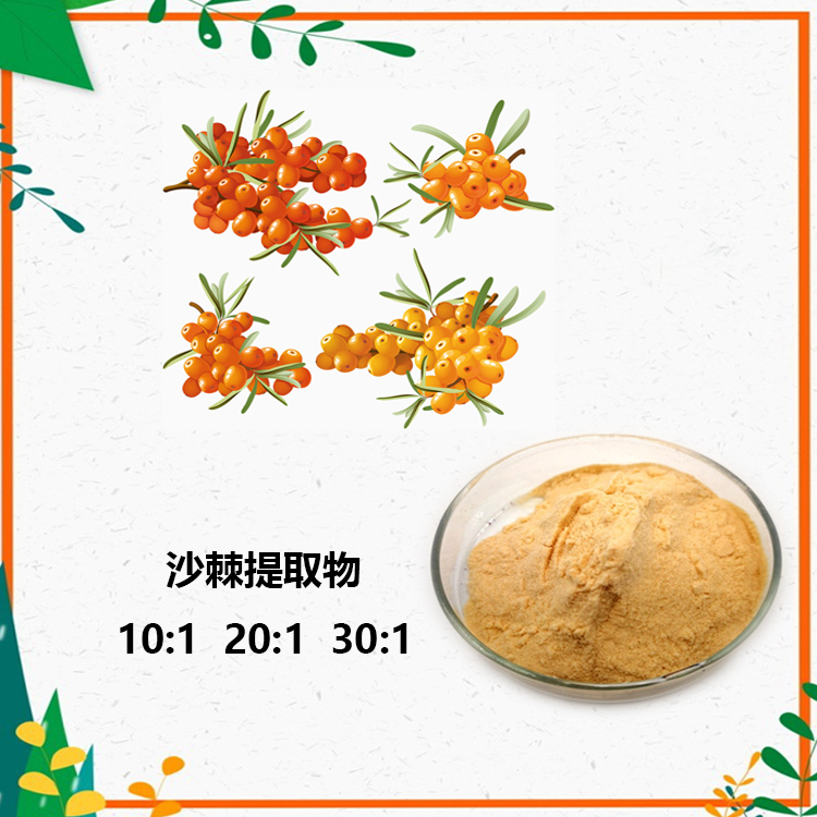 沙棘果粉 沙棘酵素粉 沙棘多肽 沙棘浓缩汁 提取物 10:1