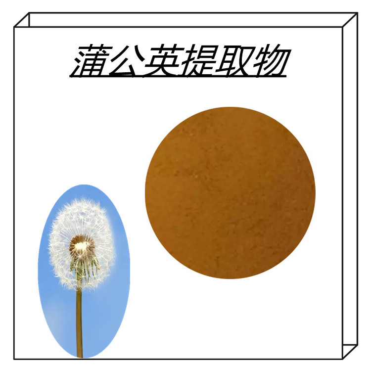 蒲公英提取物   含多种营养成分   三遍水提   全水溶    可寄样   无结块