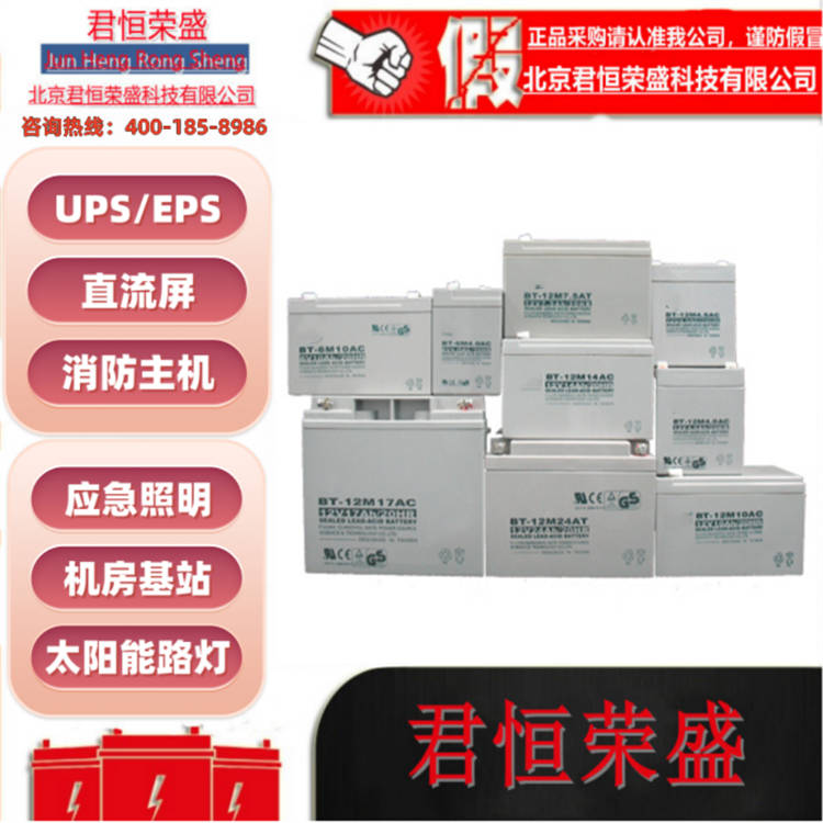 塞特蓄电池 应急电源精密仪器 直流屏专用电瓶