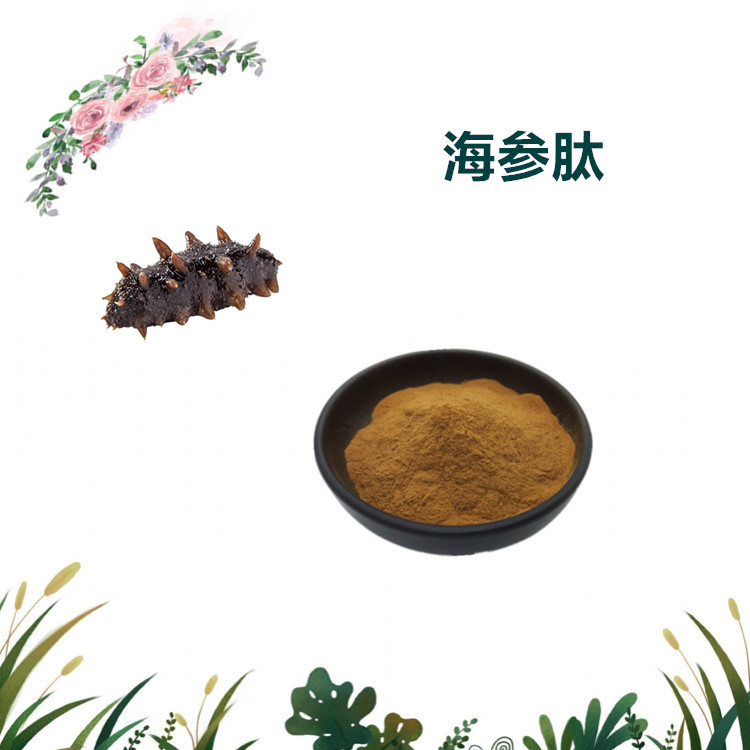 沃特莱斯生物 海参肽 水溶性粉末 萃取粉 多规格订制 可寄样
