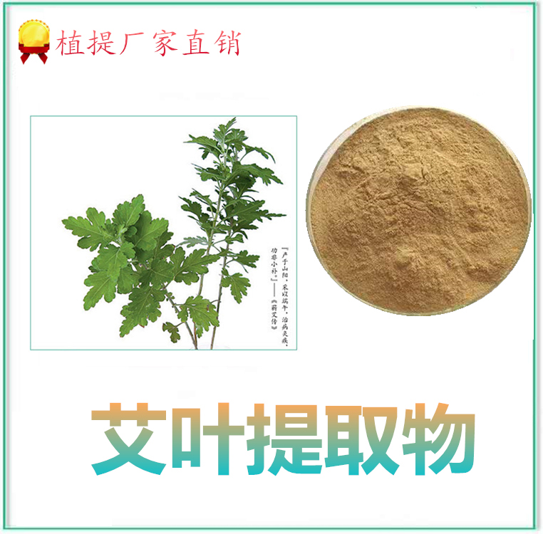 艾叶提取物 艾叶浓缩粉 可用于不同行业 斯诺特生物