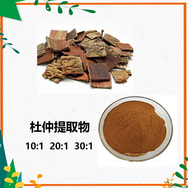 杜仲提取物 10:1 水提 杜仲粉 杜仲绿原酸 25%