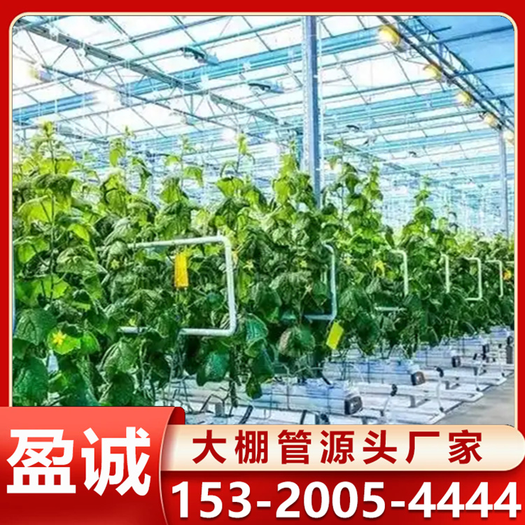 农业种植智能温室大棚 大棚管批发 智能温室无土栽培 采光性好