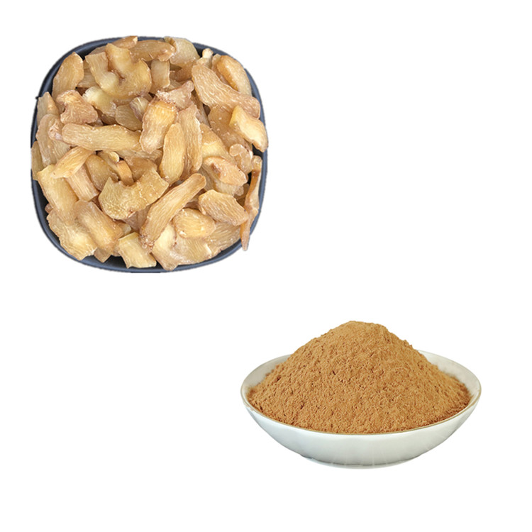 黄精水溶粉 10:1 黄精提取物 三方外检 可来料代工 斯诺特生物