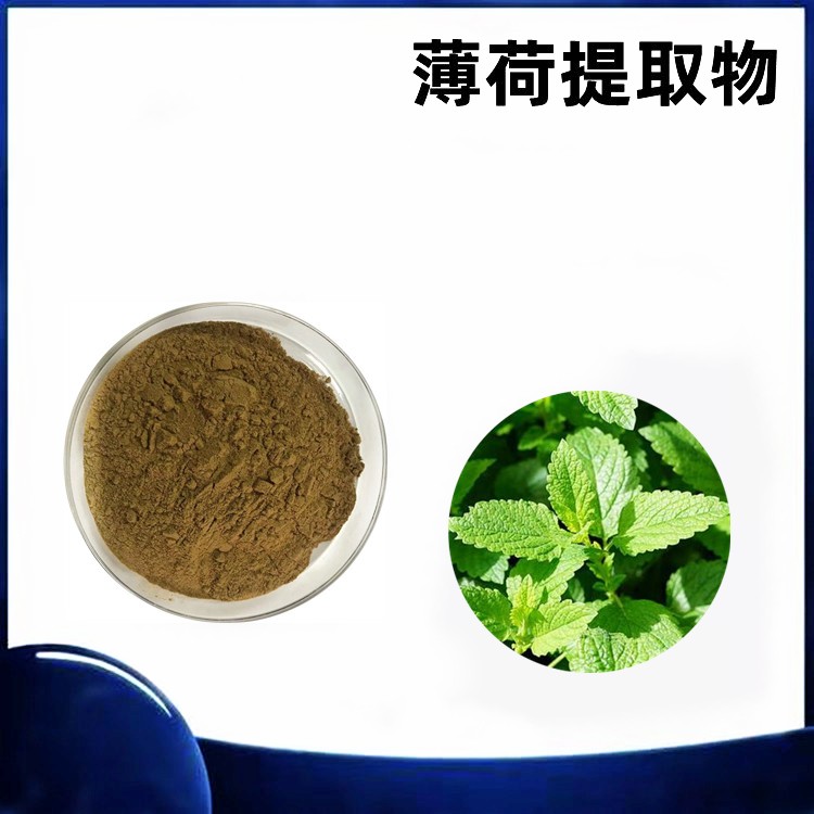 薄荷提取物  六盘韵生物 浓缩 喷雾干燥成粉 过筛灭菌 包装
