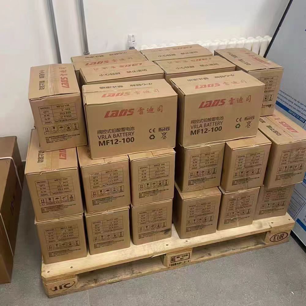 雷迪司蓄电池12V100ah