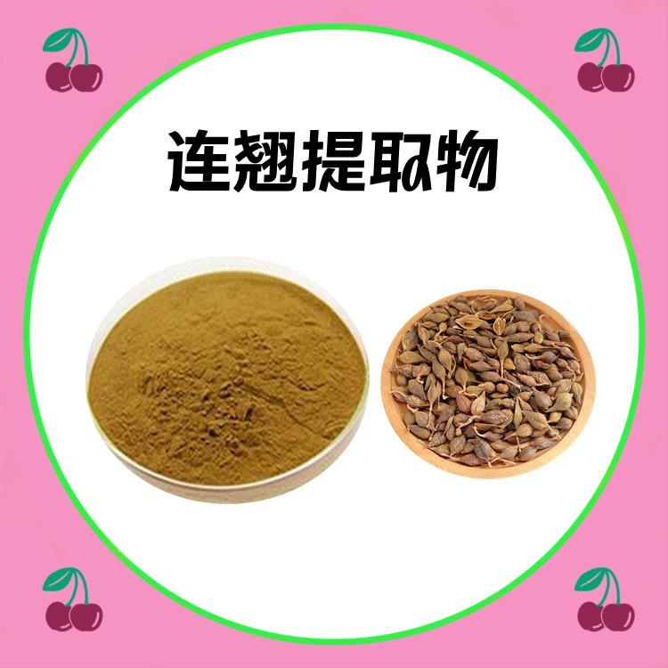 连翘提取物  粉末细腻 无结块 多种含量规格 精选原料 六盘韵