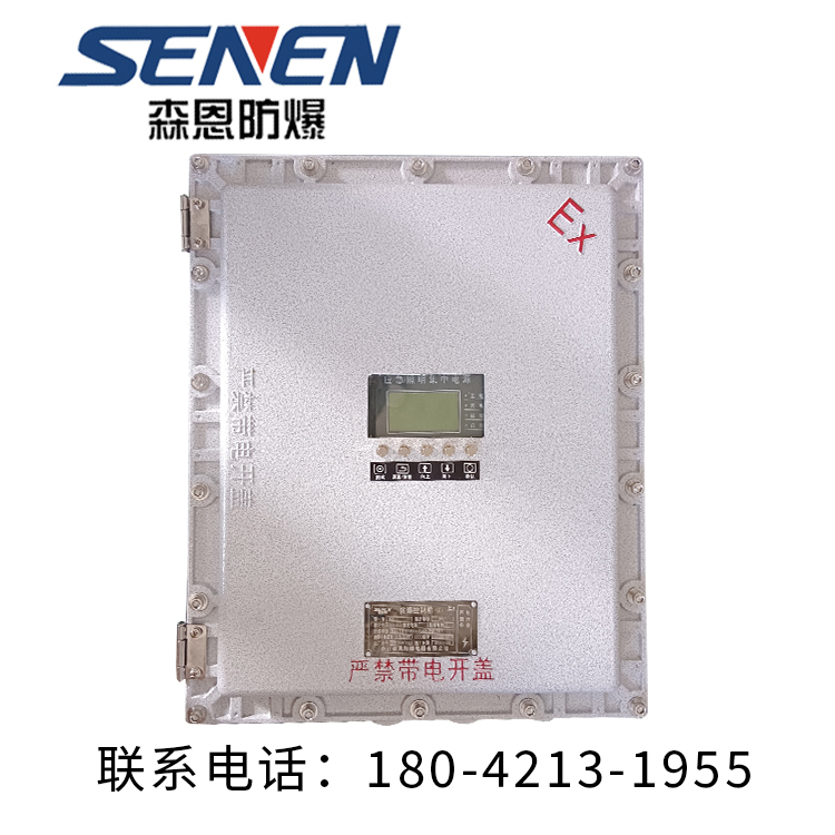 防爆仪表箱