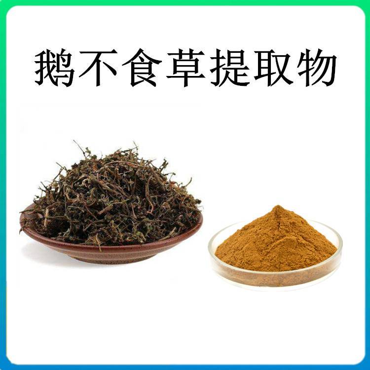 鱼腥草提取物  鹅不食草粉 桑白皮提取物
