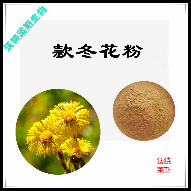 款冬花提取物 10:1水提 款冬花多糖 30% 款冬花粉 98%