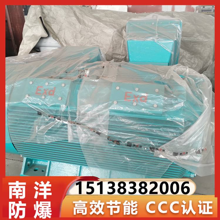 6kv 10kv高压防爆电机 隔爆性能好 结构紧凑 南洋