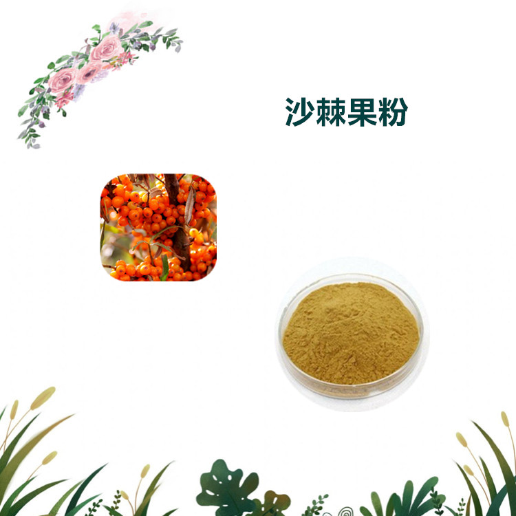 沃特莱斯生物 沙棘果粉 沙棘果速溶粉 沙棘果原粉 1公斤起订