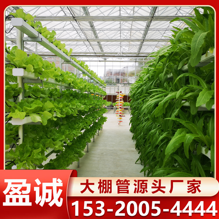 草莓连栋大棚 蔬菜大棚建设 连体温室大棚设计 大棚管定制 采光面积大