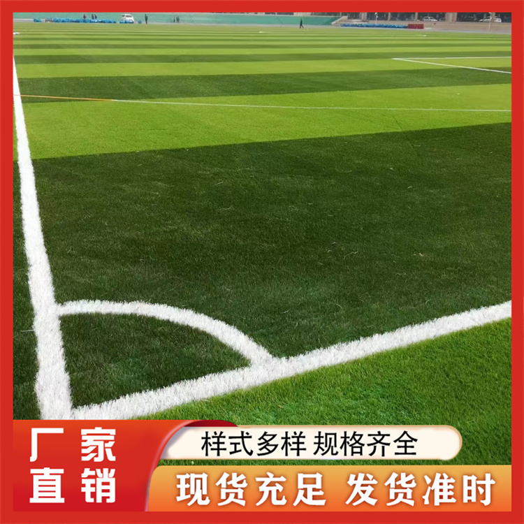足球场草坪 锘隆体育设施 学校体育场双色足球场人造草坪