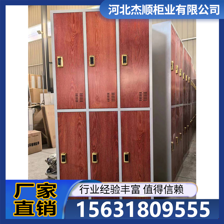 浴室更衣柜 专用物品保管柜电子存包柜 款式多样