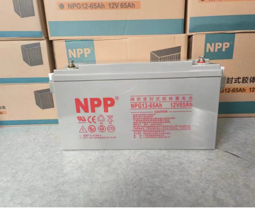 耐普蓄电池12v-65ah