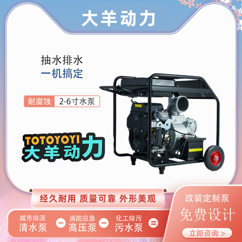 大羊动力4寸汽油水泵