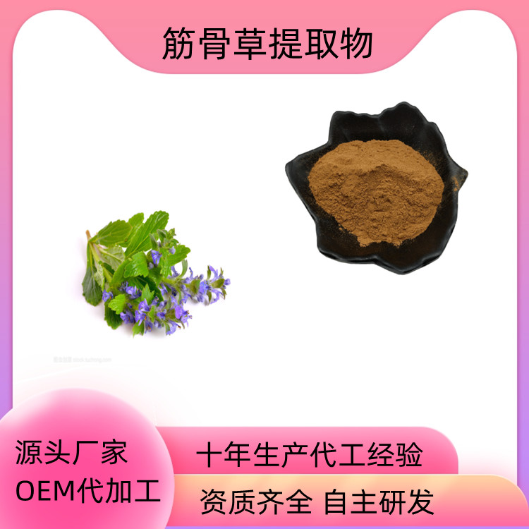 筋骨草提取物 速溶粉 浓缩干燥 10：1 20：1可定制 质量稳定