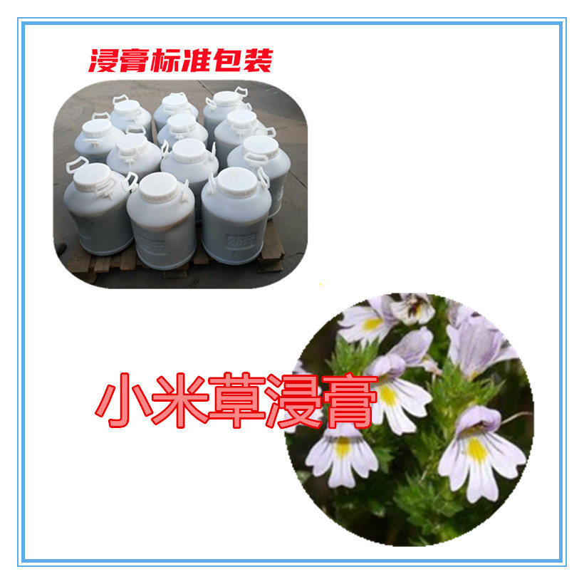小米草提取物 10:1 水提 多规格比例 小米草粉 浸膏