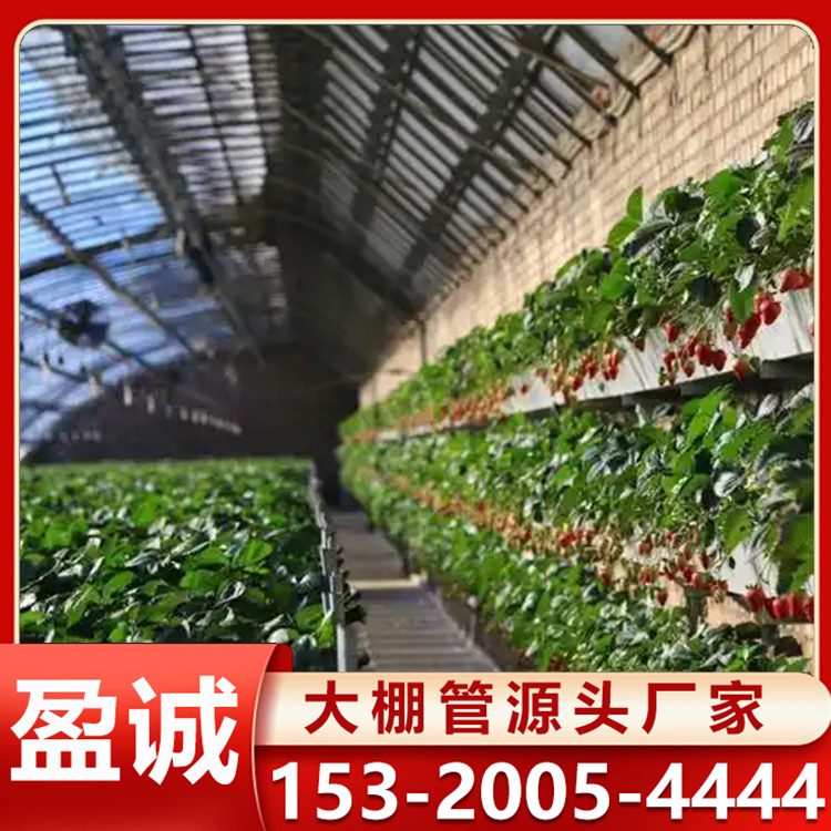 智能温室大棚 采光好建设快 骨架稳定耐用 大棚管批发 可定制