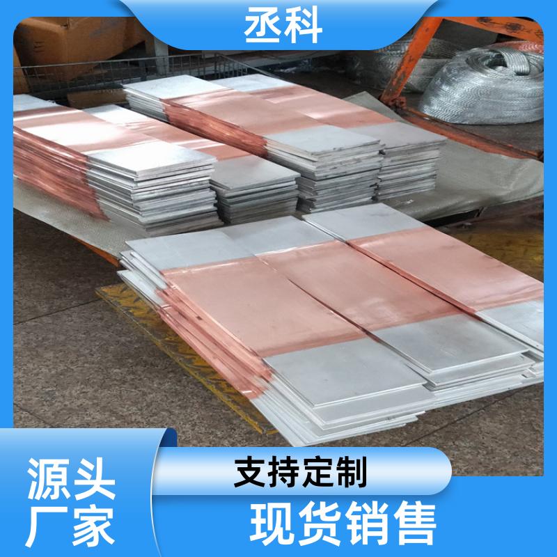 生产加工 电力设备 铜箔软连接 镀锡打孔 125X10 异形可定制