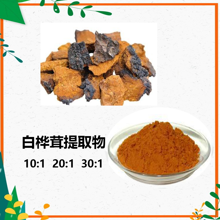 白桦茸提取物 10:1 水提 白桦茸多糖 30% 50%