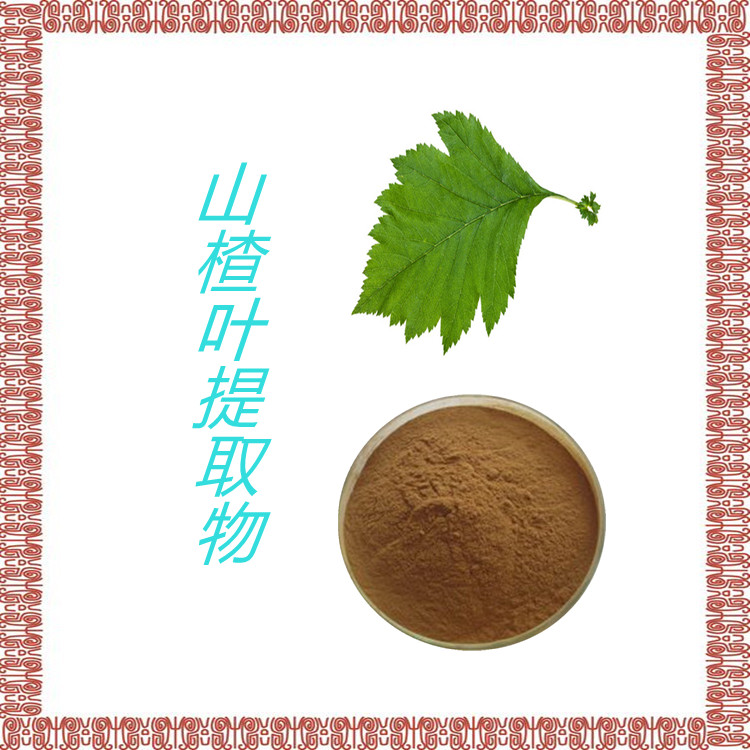 山楂叶提取物 粉末流动性好  国标生产  固体饮料  无结块  食品级