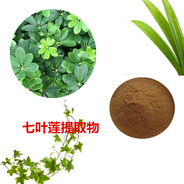 七叶莲提取物 10:1 水提 多规格比例 七叶莲浸膏 1.13比重