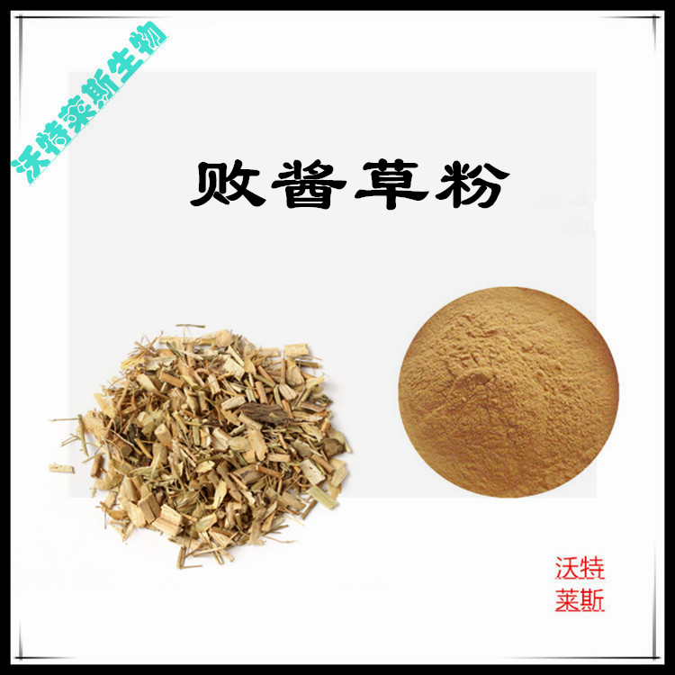 败酱草提取物 10:1 水提 败酱草浓缩粉 败酱草浸膏粉