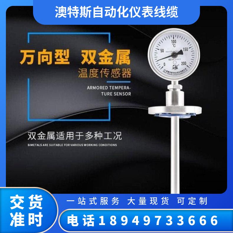 澳特斯 双金属温度计 WSS-480 直径100 万向型无固定装置
