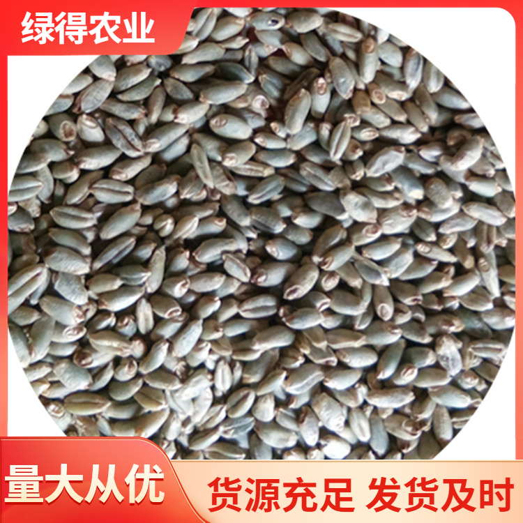 绿小麦品质原材