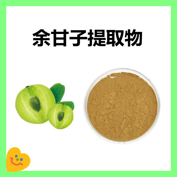 余甘子提取物 粉末细腻 无结块 多种含量规格 精选原料 六盘韵