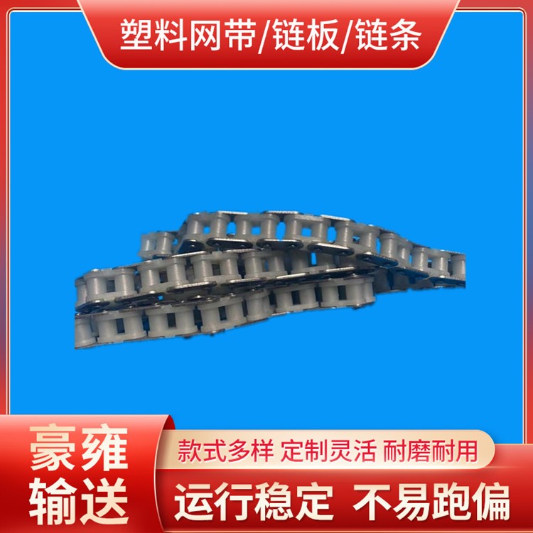 40SS塑料内节链条 不锈钢塑料滚子链 插件线链条尼龙内节链条