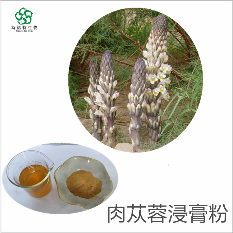 肉苁蓉（荒漠）提取物 实际比例 源头工厂