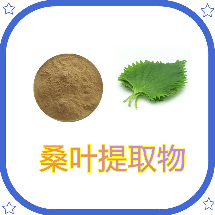 桑叶提取物  含多种营养成分  粉末细腻  固体饮料  质量稳定   包邮